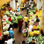 Cultural vacations with local market visits